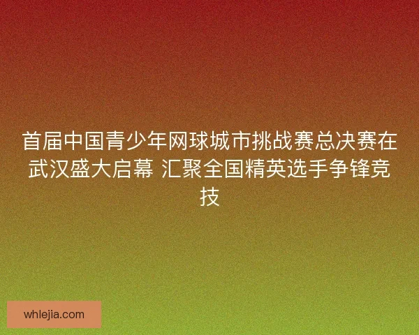 首届中国青少年网球城市挑战赛总决赛在武汉盛大启幕 汇聚全国精英选手争锋竞技