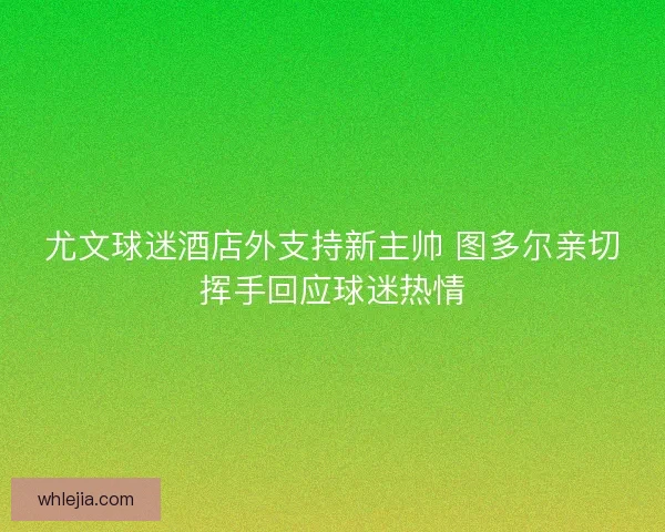 尤文球迷酒店外支持新主帅 图多尔亲切挥手回应球迷热情 尤文球迷酒店外支持新主帅 图多尔亲切挥手回应球迷热情