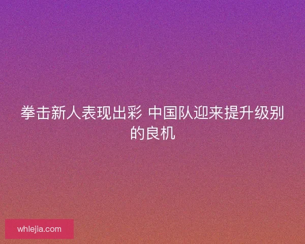 拳击新人表现出彩 中国队迎来提升级别的良机 拳击新人表现出彩 中国队迎来提升级别的良机