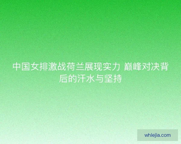 中国女排激战荷兰展现实力 巅峰对决背后的汗水与坚持