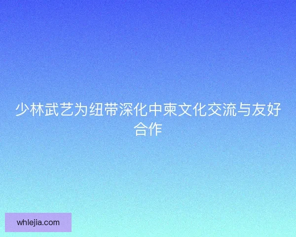 少林武艺为纽带深化中柬文化交流与友好合作 少林武艺为纽带深化中柬文化交流与友好合作