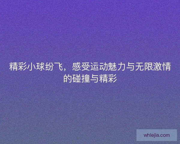 精彩小球纷飞，感受运动魅力与无限激情的碰撞与精彩